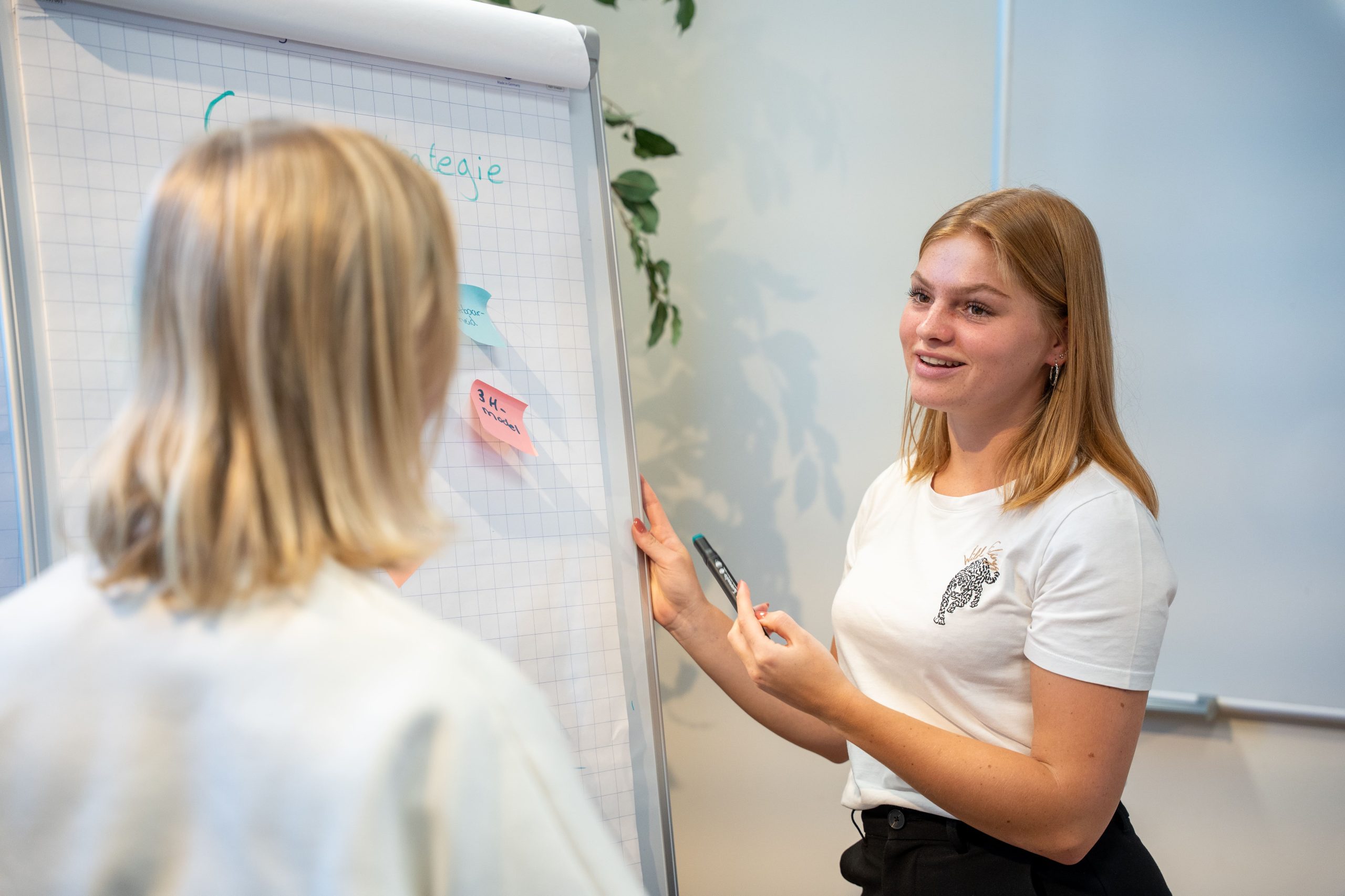 Strategie